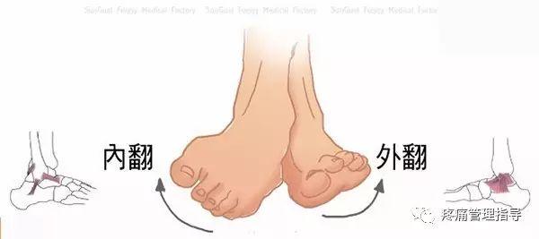 nba脚踝扭伤案例 NBA球星脚踝扭伤的处理方法(9)