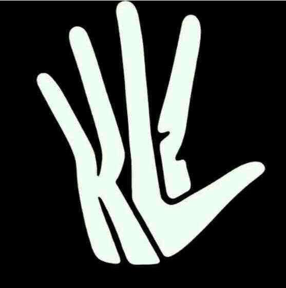 nba纳什logo NBA中球星的个人logo(5)