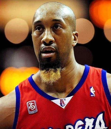 nba球星的胡子 当NBA球星留奇特的胡子(6)