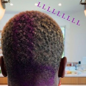 韦德履行承诺, 在脑后染紫色L标志(1)