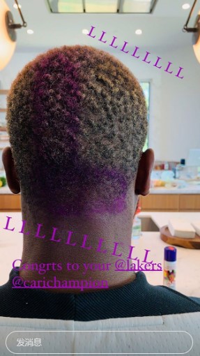 韦德履行承诺, 在脑后染紫色L标志(2)