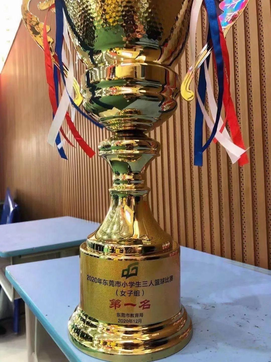 骄傲！厚街这所小学篮球队将代表广东角逐全国总决赛！(7)