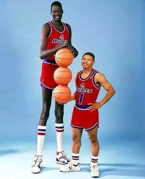 NBA身高最高球员排名：姚明并不是最高的(2)