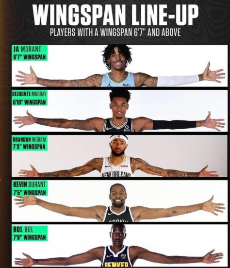 大鹏展翅！美媒晒NBA现役最长臂展五虎首发图，这阵容季后赛稳了(1)