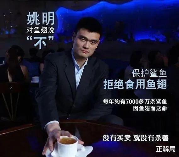 姚明被骗13年：呼吁中国人不吃鱼翅，鲨鱼为何更濒危？(4)