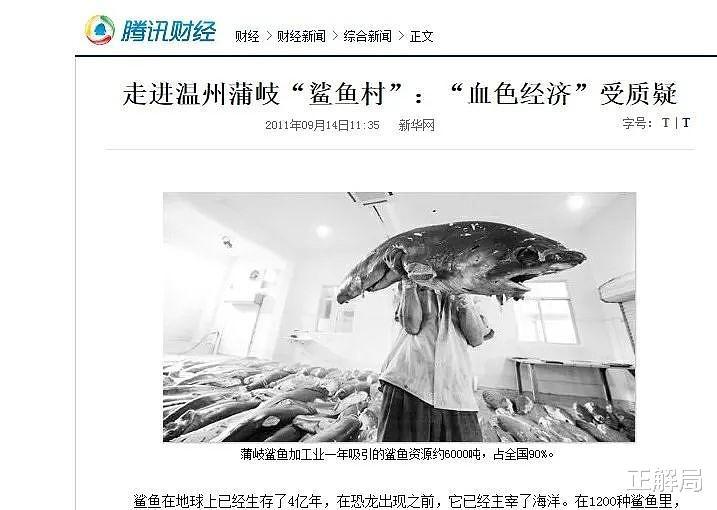 姚明被骗13年：呼吁中国人不吃鱼翅，鲨鱼为何更濒危？(5)