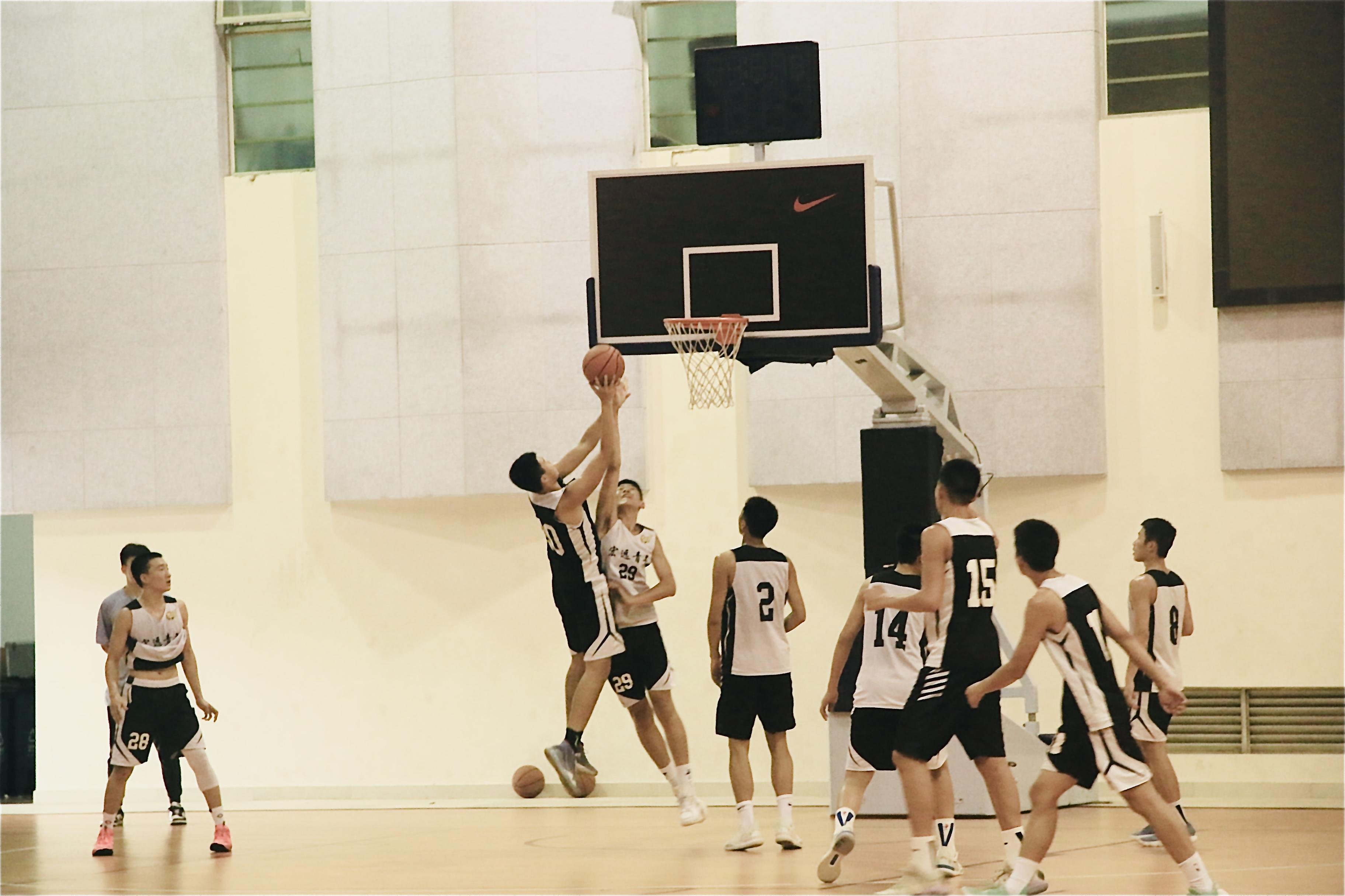 深度“体教融合”！省实携手广东宏远培育更多校园篮球明星(2)