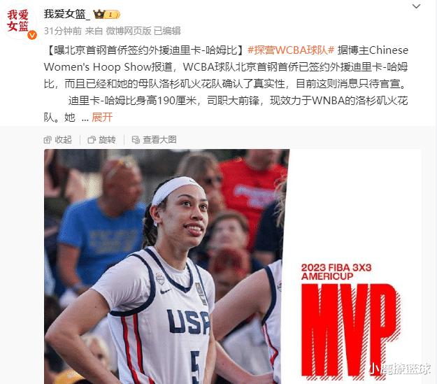 大手笔引援！曝WNBA顶级大前锋加盟北京首钢，率队冲击季后赛八强(1)