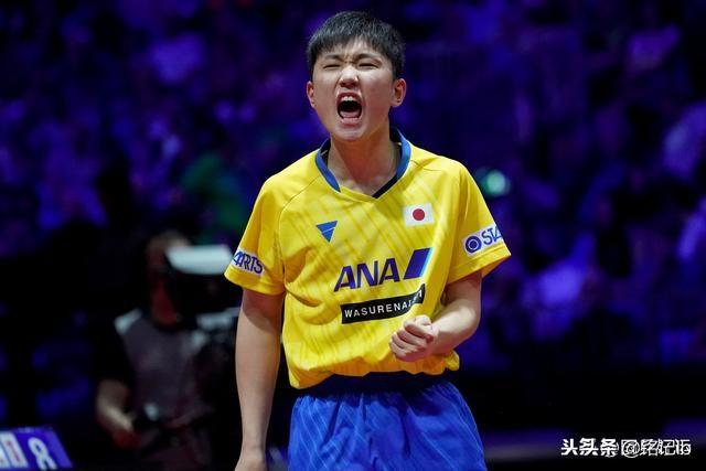 2019乒乓年终总决赛抽签结果出炉(2)