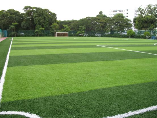 日本足球为何厉害？高中足球联赛水平接近职业联赛，真让人羡慕(4)