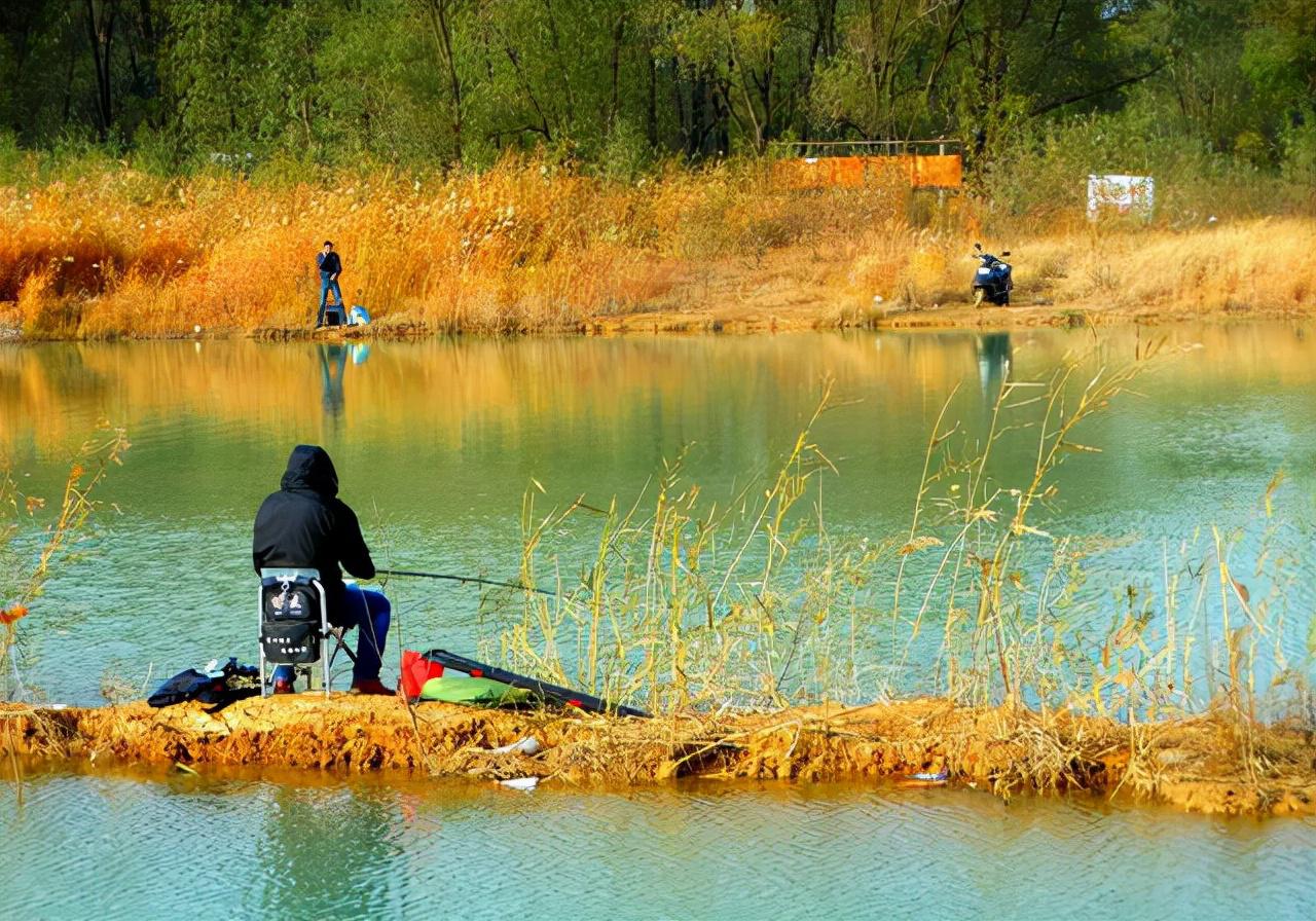 秋季野钓大鱼时，打窝量不做这几种改变，钓鱼很可能变成喂鱼(7)