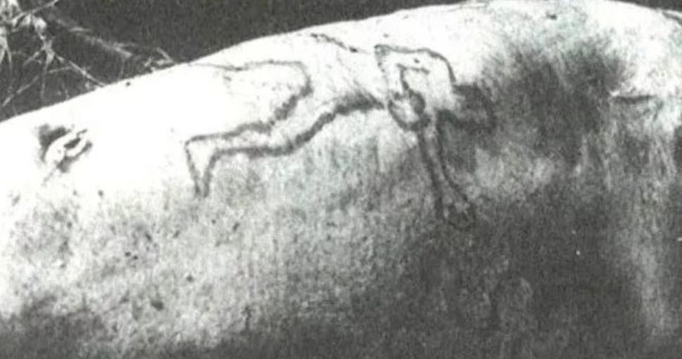 1935年拳击手离奇失踪，18天后，他的手臂竟出现在水族馆里(3)