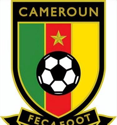 喀麦隆宿将执鞭，非洲雄狮卷土重来，世界杯目标再度出线(18)