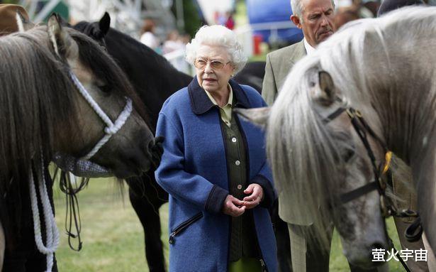 女王14匹赛马被查尔斯国王卖掉，包括几匹冠军马，国王赚了900万(1)