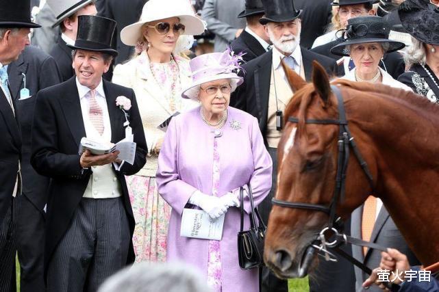 女王14匹赛马被查尔斯国王卖掉，包括几匹冠军马，国王赚了900万(6)