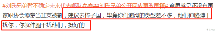 刘氏兄弟回应更改国籍，网友抵制声音不断，两人此前做法不容原谅(16)