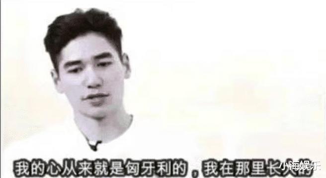 刘氏兄弟回应更改国籍，网友抵制声音不断，两人此前做法不容原谅(23)