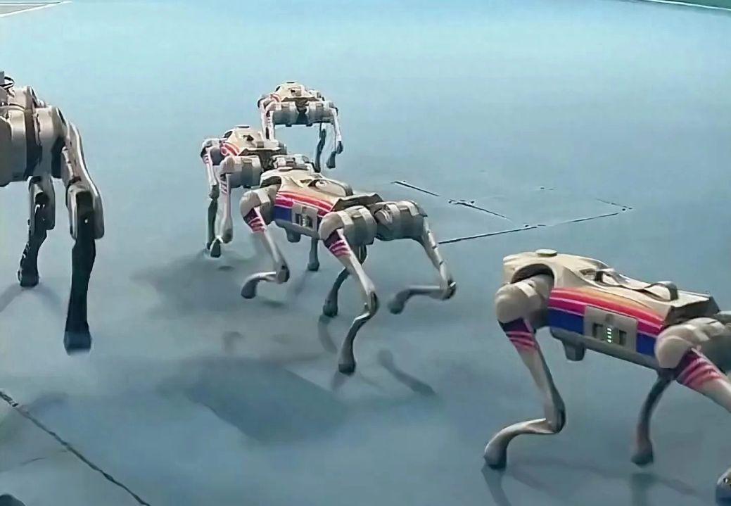 杭州亚运会用机器狗代替工作人员捡铁饼惊到外国运动员，太科幻了(1)