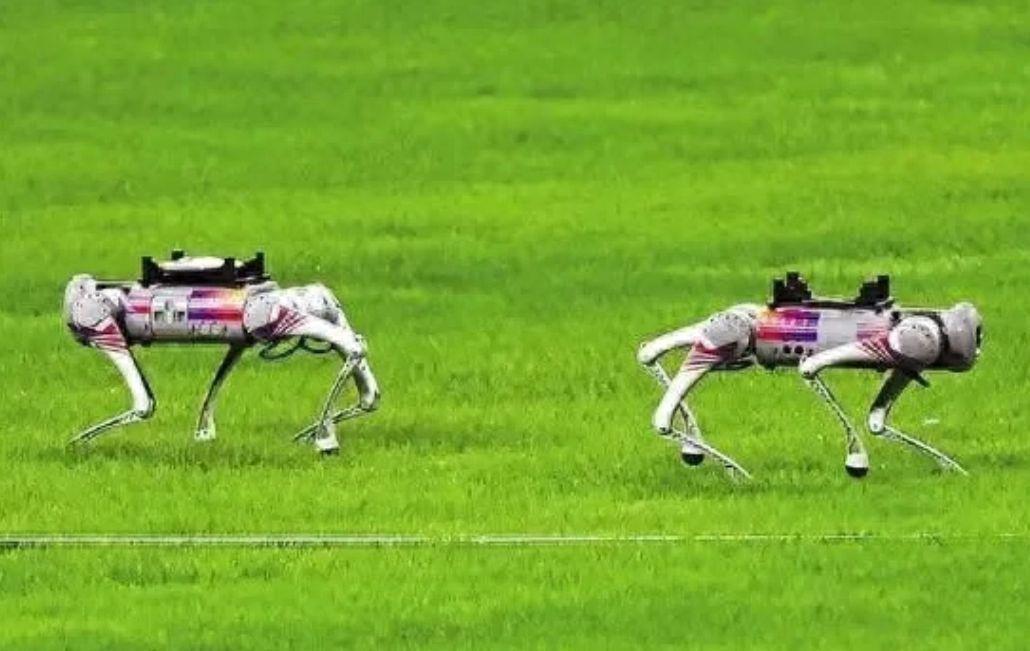 杭州亚运会用机器狗代替工作人员捡铁饼惊到外国运动员，太科幻了(2)