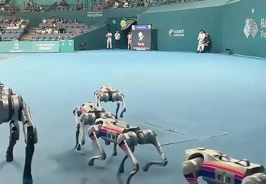 杭州亚运会用机器狗代替工作人员捡铁饼惊到外国运动员，太科幻了(4)