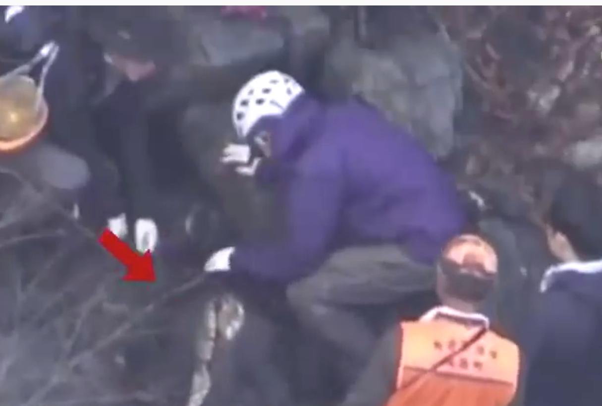 日本一棕熊尸体内发现人体残骸，为此前登山死亡的22岁大学生(1)