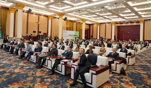 世界青少年围棋论坛在衢州举行 常昊提出四点倡议(1)