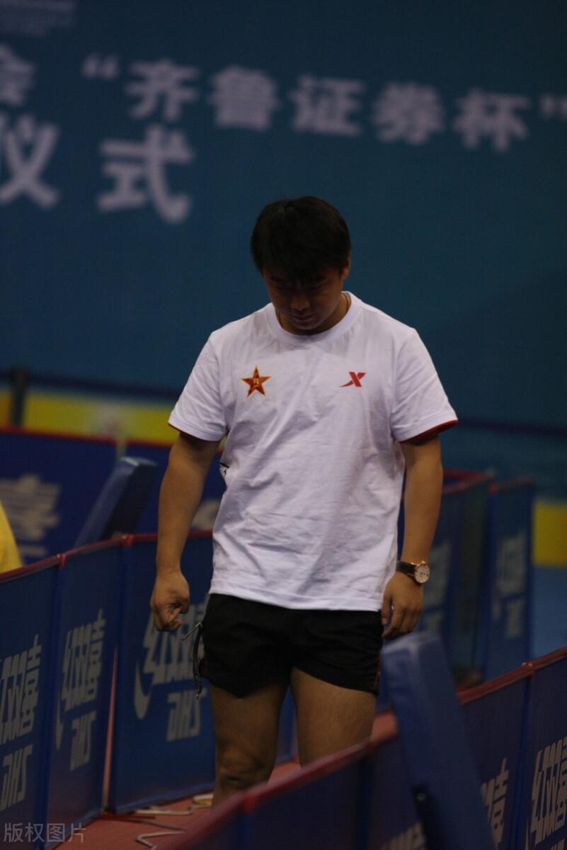 银牌背后的辉煌：王涛——乒乓球场上的坚韧与爱情的胜利(4)