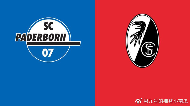 2019-20赛季德甲次轮帕德伯恩vs弗莱堡(3)