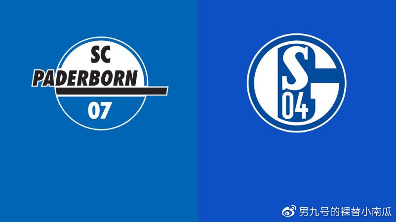 2019-20赛季德甲第4轮帕德伯恩vs沙尔克04(1)