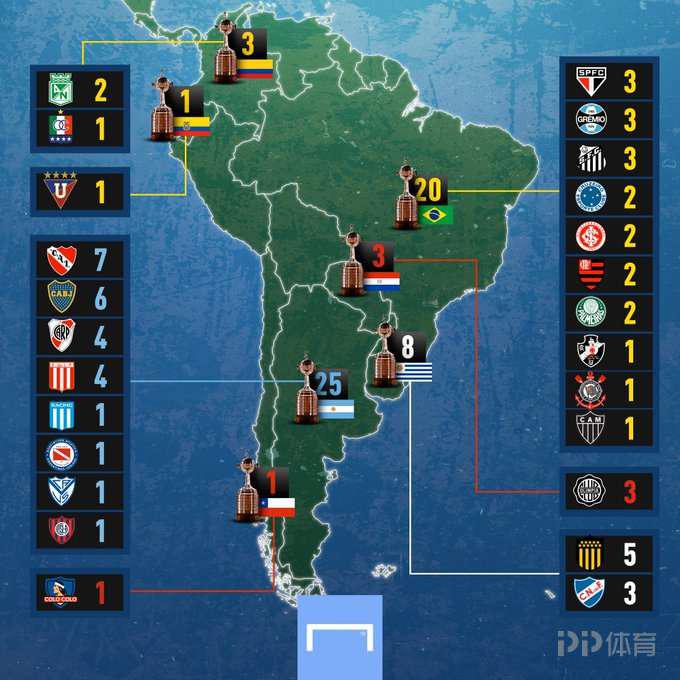 帕尔梅拉斯夺得南美解放者杯冠军 锁定最后一个世俱杯名额(3)