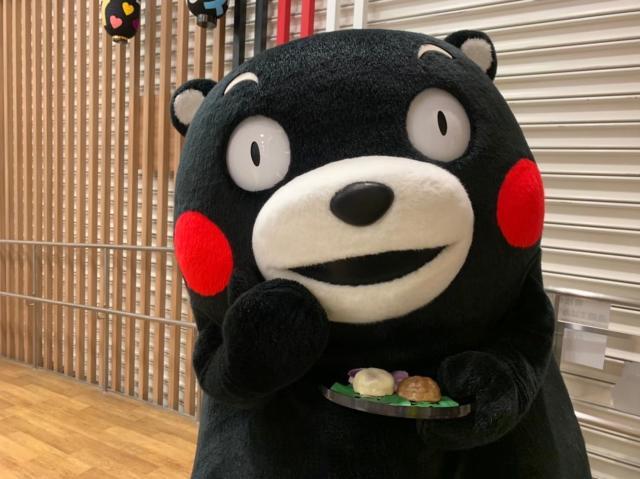 萌萌萌！熊本熊观战日本联赛最后一个比赛日(27)