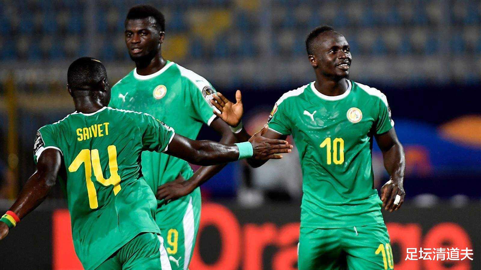 奖金+两块地！塞内加尔夺冠总统豪掷奖金 希望球队能进世界杯四强(4)