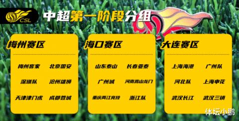 足协将武汉和河南对调，泰山未赛先丢8分，这样分组真的合理吗？(4)