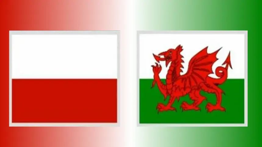 曼巴评球：欧国联小组赛：波兰vs威尔士，波兰主场全力争胜(1)