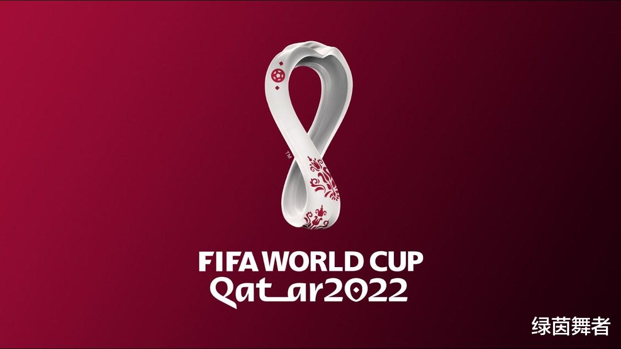 卡塔尔世界杯行为守则曝光！6条禁令个个奇葩，球迷抵制，国足没去太明智！(1)