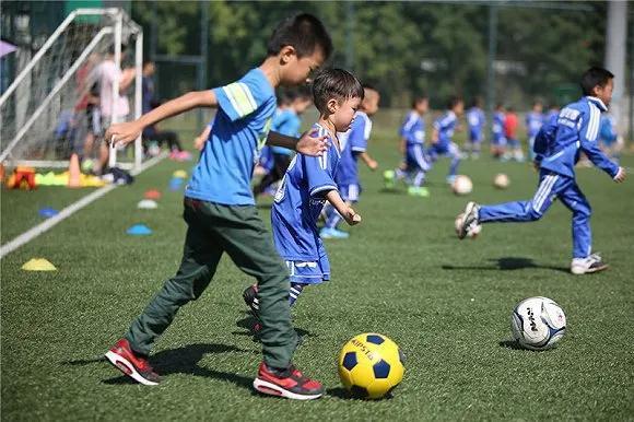 轩然小波，中国足球越踢越差治根先要治症(1)