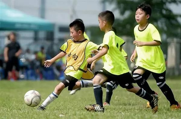 轩然小波，中国足球越踢越差治根先要治症(2)