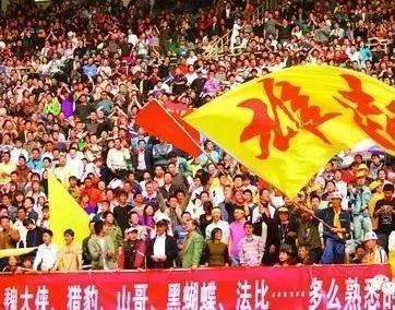 轩然小波，中国足球越踢越差治根先要治症(4)