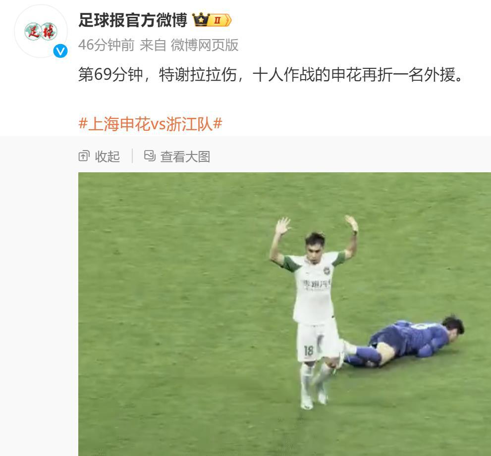 上海申花又降维打击中下游球队 但球迷最关心谢拉伤退几场(2)